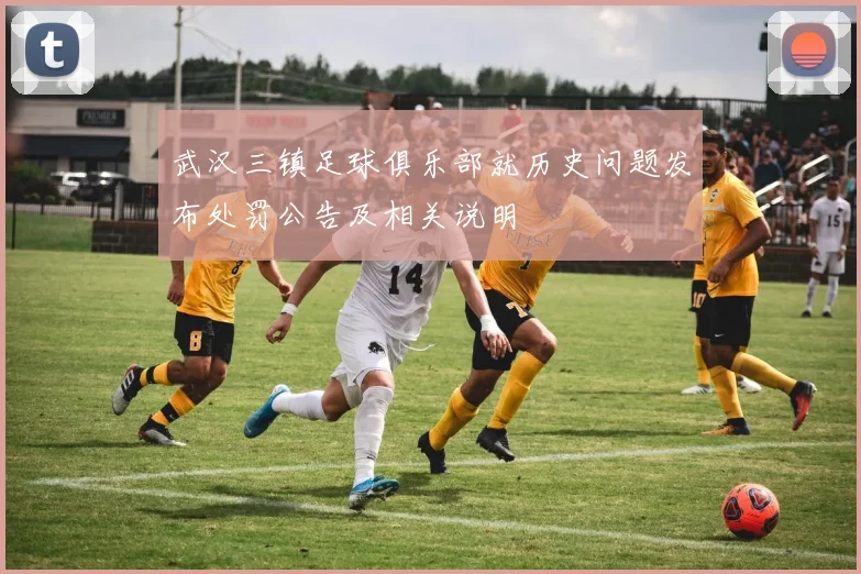 武汉三镇足球俱乐部就历史问题发布处罚公告及相关说明