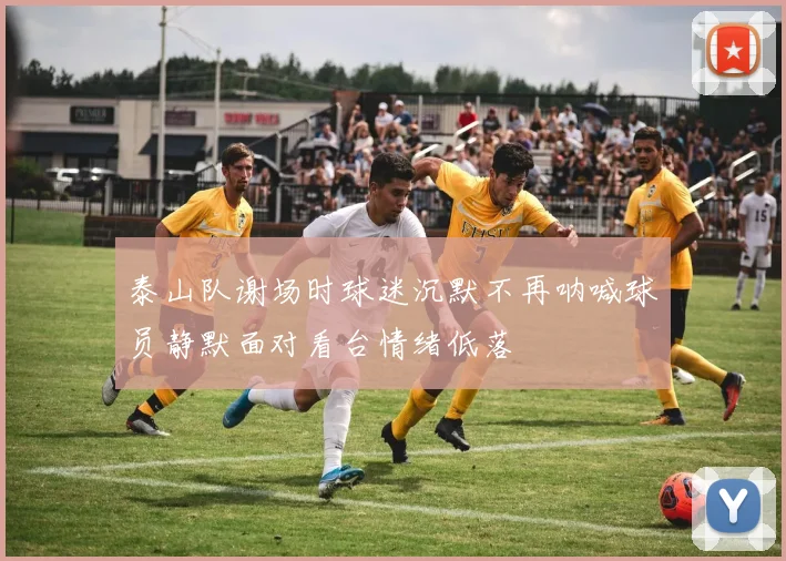 泰山队谢场时球迷沉默不再呐喊球员静默面对看台情绪低落